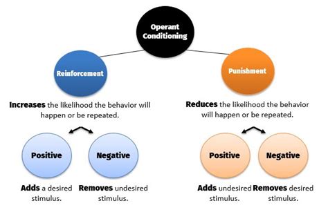 Operant Conditioning Diagram