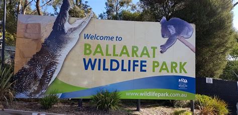 Ballarat Wildlife Park - 2019 What to Know Before You Go (with Photos) - TripAdvisor