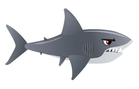 Shark PNG Transparent - PNG All