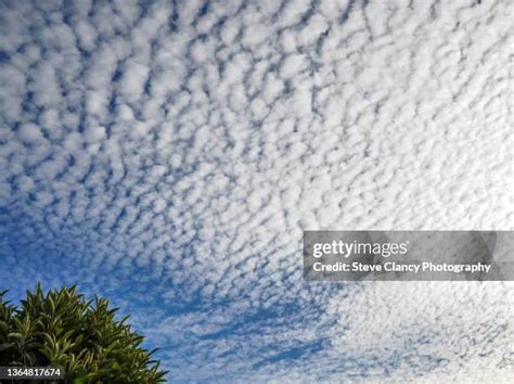 2,169 Altocumulus Clouds Stock Photos, High-Res Pictures, and Images ...