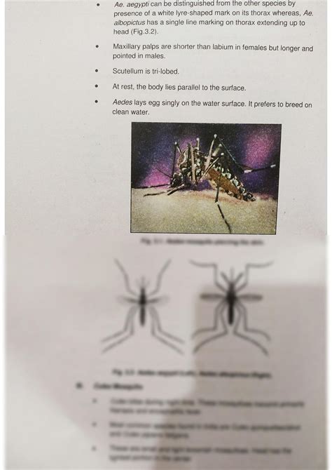 SOLUTION: Types of mosquito vectors - Studypool