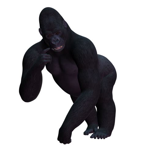 Gorilla PNG Transparent Images - PNG All