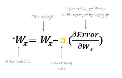 Backpropagation Step by Step