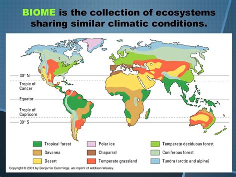 Which of the Following Biomes Are Considered Temperate Biomes - Jaylin-has-Pruitt