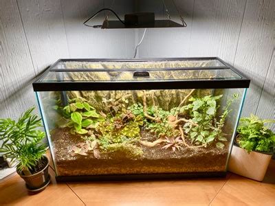 How To Turn A Fish Tank Into A Snake Tank - Snake Poin