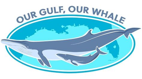 Petition · Protect the critically endangered Rice’s whale - United ...