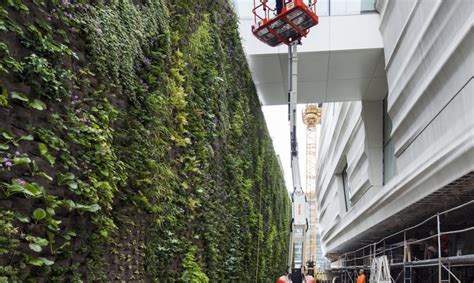 Nation’s largest green wall of native plants breathes life into SFMOMA | Inhabitat - Green ...