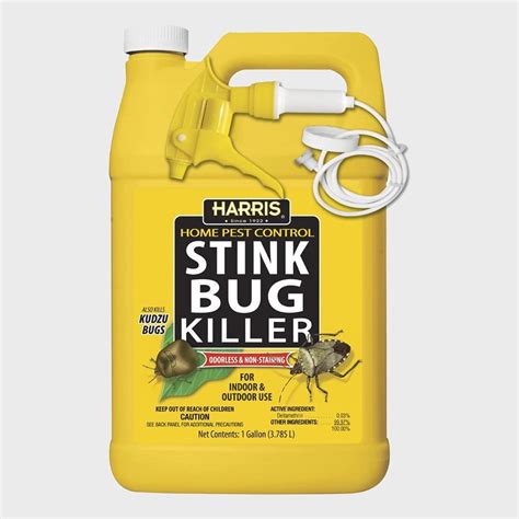 8 Best Stink Bug Repellents | The Family Handyman