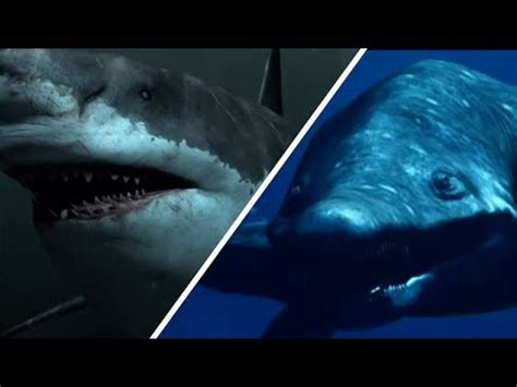 Megalodon Vs Predator X - Who Would Win? / Documentary (English/HD) - YouTube