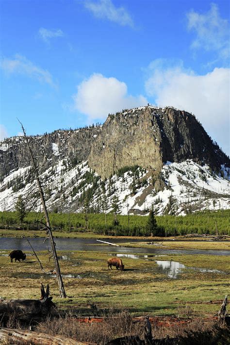 Obsidian Cliff In Yellowstone by Orchidpoet