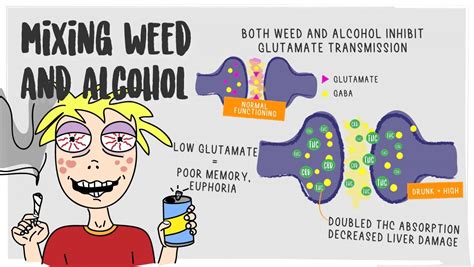 What Are The Effects Of Mixing Cannabis And Alcohol? | Fast Buds