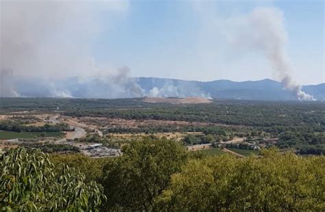 Forest Fires in France Destroyed One of Europe's Most Unique Nature Reserves - Leakshare