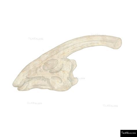 Parasaurolophus Fossil Dig - The 4 Kids