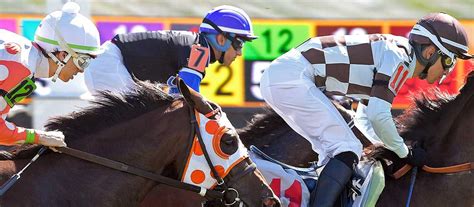 Live Racing Returns to Laurel Park Thursday – Pimlico