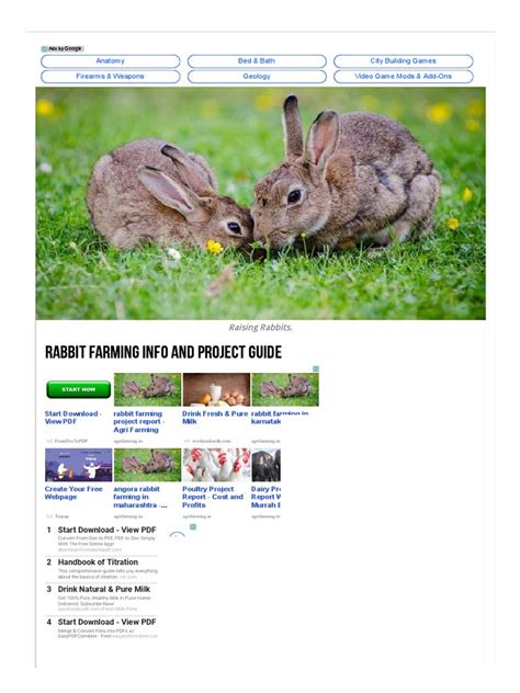 Rabbit Farming Info and Project Guide _ Agri Farming | Wool | Rabbit