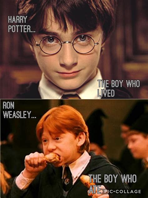 Funny Meme Harry Potter - Funny Memes Mania