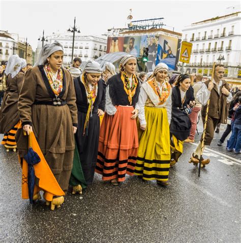 Fotos gratis : gente, rural, carnaval, oveja, queso, desfile, Vacas, festival, mujer, Madrid ...