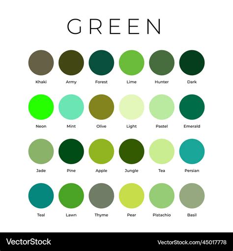 Green color shades swatches palette with names Vector Image