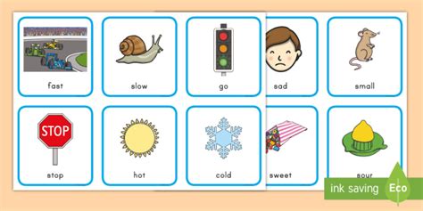 What is an antonym? Definition and Examples | Opposite Words