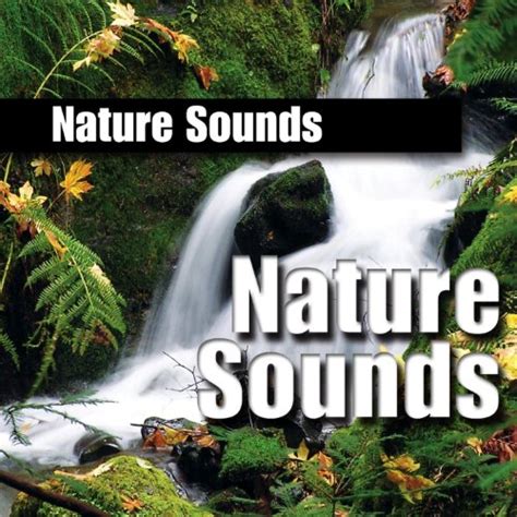 Amazon.com: Nature Sound : Nature Sounds: Digital Music