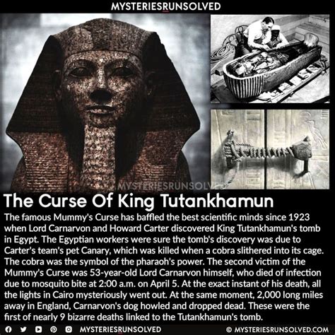 10 Facts About King Tut's Tomb