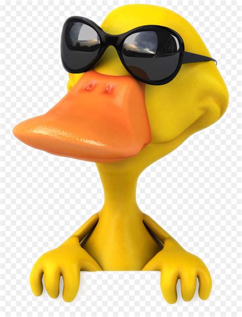 duck with sunglasses clipart 10 free Cliparts | Download images on Clipground 2024