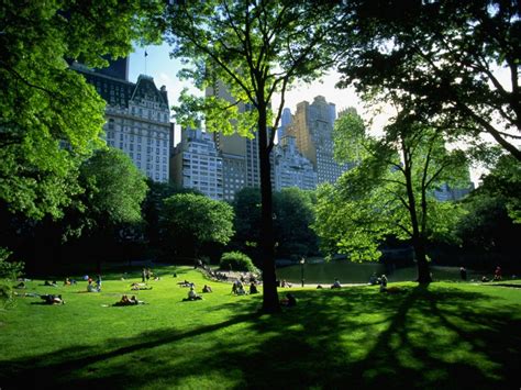 World Visits: New York Central Park The Natural Hub In The City