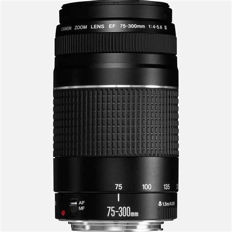 Buy Canon EF 75-300mm f/4-5.6 III Lens — Canon Ireland Store