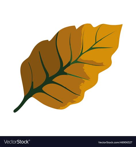 Autumn leaf design Royalty Free Vector Image - VectorStock