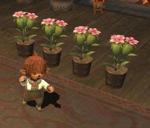 Category:Gardening - Gamer Escape's Final Fantasy XI wiki - Characters, items, jobs, and more