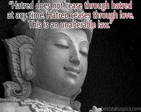 51 Buddha Quotes On Love and Life [With Images] - Best Status Pics