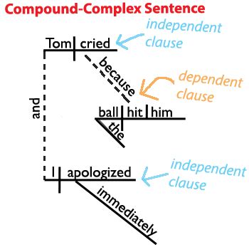 The Compound-Complex Sentence