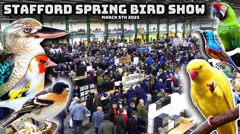 Stafford Spring Bird Show 2023 - HUGE Bird Sale - YouTube