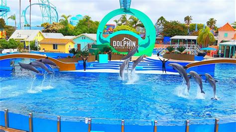 [June 2022] Dolphin Adventures Full Show - Seaworld San Diego - YouTube