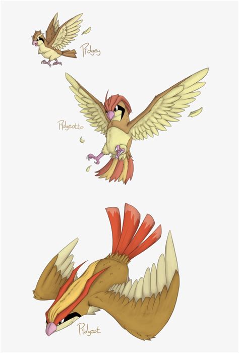 Pokemon Pidgeotto Evolution