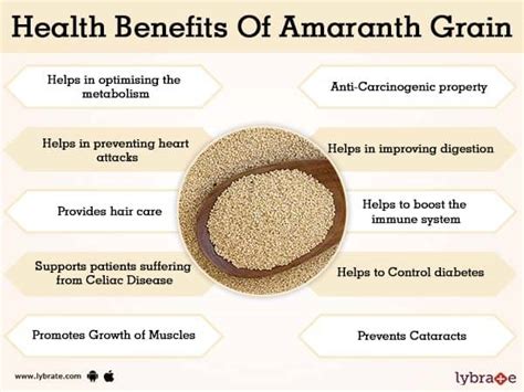 Benefits of Amaranth Grain And Its Side Effects | Lybrate