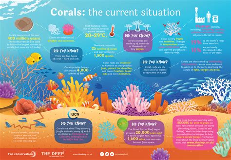 Coral Reef | Kids Against Plastic