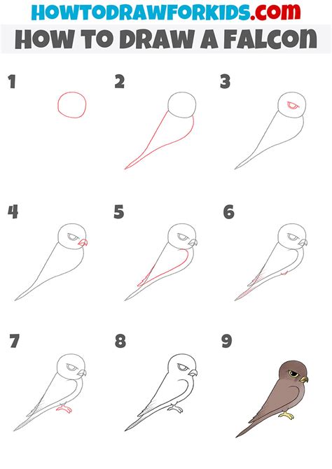 How to Draw a Falcon - Easy Drawing Tutorial For Kids