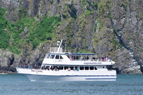 4 Hour Kenai Fjords Wildlife Cruise - Seward | Project Expedition