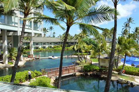 Honolulu Weddings: Kahala Resort Dolphin Pools