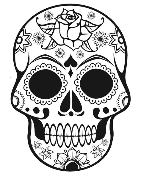 Simple Skull Side Drawing at GetDrawings | Free download