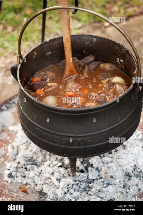 Lamb curry cooked in a traditional South African Potjiekos, which is ...