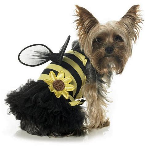 Dog Bee Halloween Costumes - Check out effective dog training supplies ...