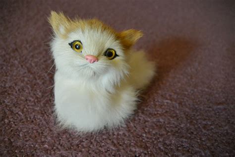 Free Images : white, animal, kitten, toy, smile, whiskers, figurine ...