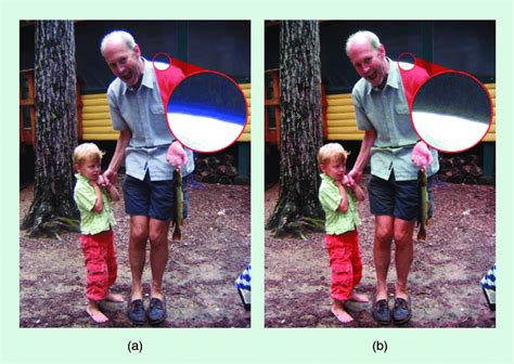 Chromatic aberration correction: (a) without and (b) with OptiML... | Download Scientific Diagram