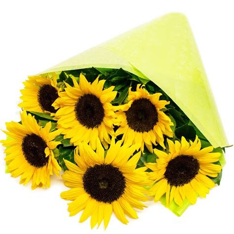 Eden4flowers POSTAL-59 (6 stems) Simply Sunflowers Thank You And Anniversary Bouquet - Yellow ...