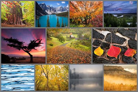 Know Artistic Nature Photography In A Detailed Way! – Ninawa Clibrary