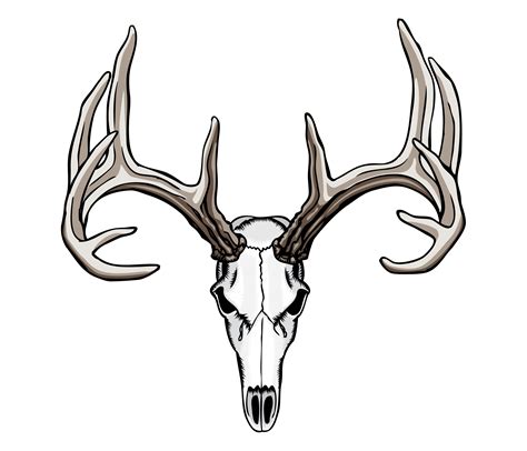 Deer Head Outline Drawing | Free download on ClipArtMag