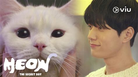 Welcome (Meow, the secret boy): Review (χωρίς spoilers)