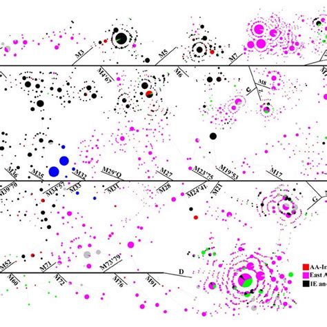 Figure S1. Network of mtDNA lineages under the macro-haplogroup M in ...